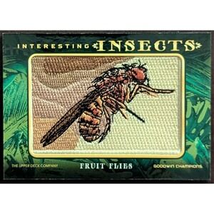 2022 Upper Deck Goodwin Champions Fruit Fly Interesting Insects Patch #IP-20